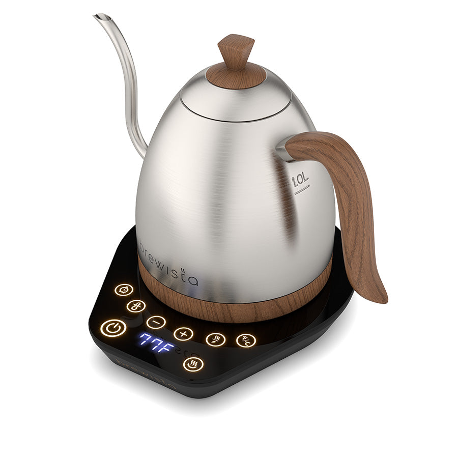 Brewista Artisan Gooseneck Kettle 1.0 L – Variable Temp (Stainless Steel)