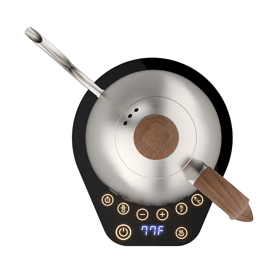 Brewista Artisan Gooseneck Kettle 1.0 L – Variable Temp (Stainless Steel)