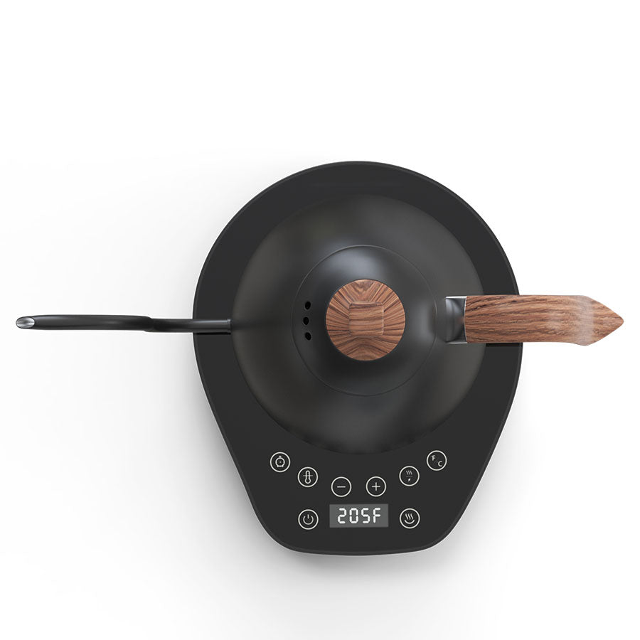 Brewista Artisan Gooseneck Kettle 0.6 L – Variable Temp (Matte Black)