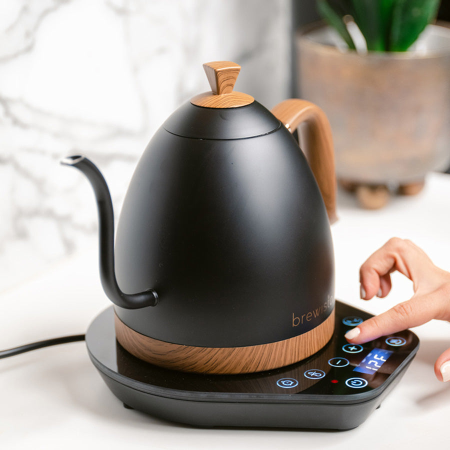 Brewista Artisan Gooseneck Kettle 1.0 L – Variable Temp (Matte Black)