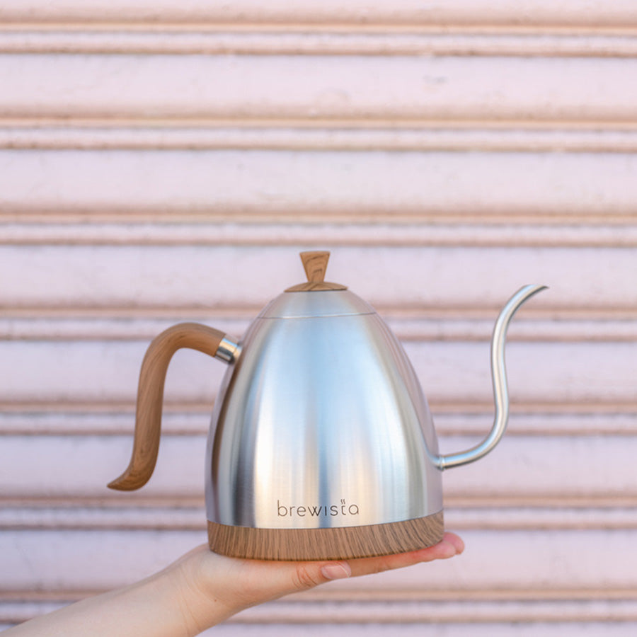 Brewista Artisan Gooseneck Kettle 1.0 L – Variable Temp (Stainless Steel)