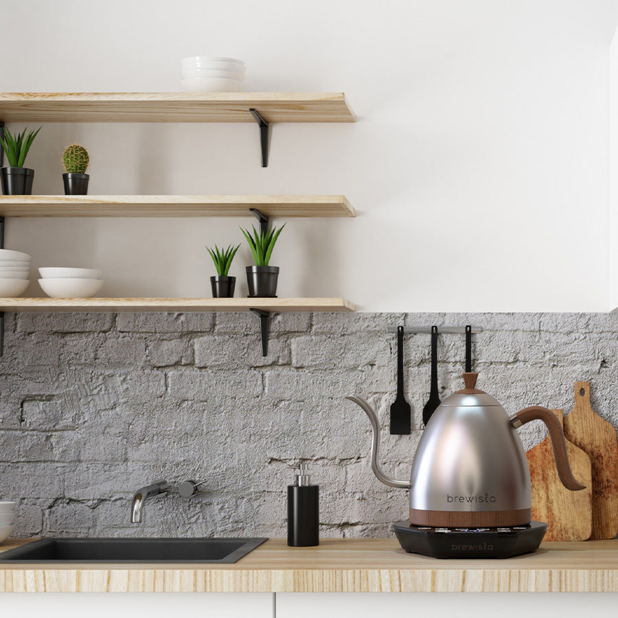 Brewista Artisan Gooseneck Kettle 1.0 L – Variable Temp (Stainless Steel)