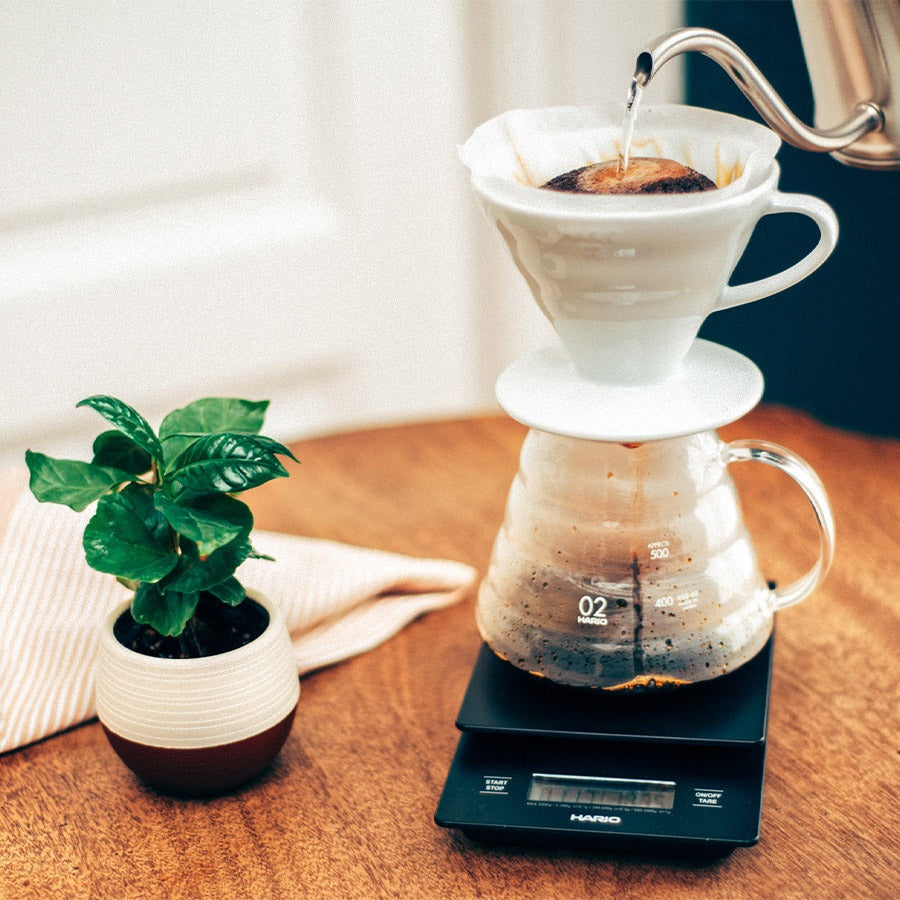 V60 Range Server 600 ml (Clear)