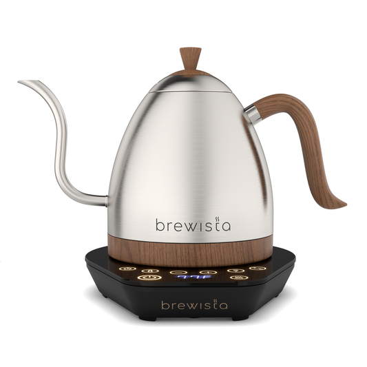 Brewista Artisan Gooseneck Kettle 1.0 L – Variable Temp (Stainless Steel)