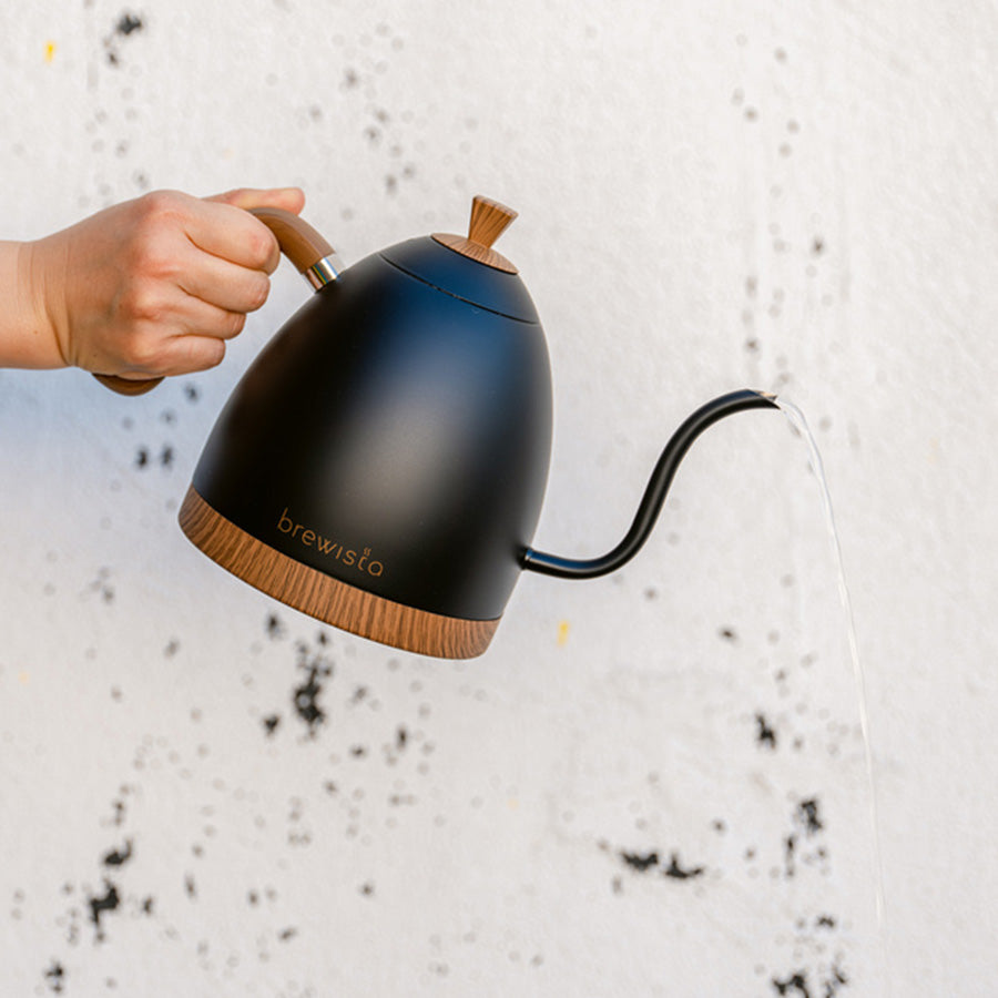Brewista Artisan Gooseneck Kettle 1.0 L – Variable Temp (Matte Black)